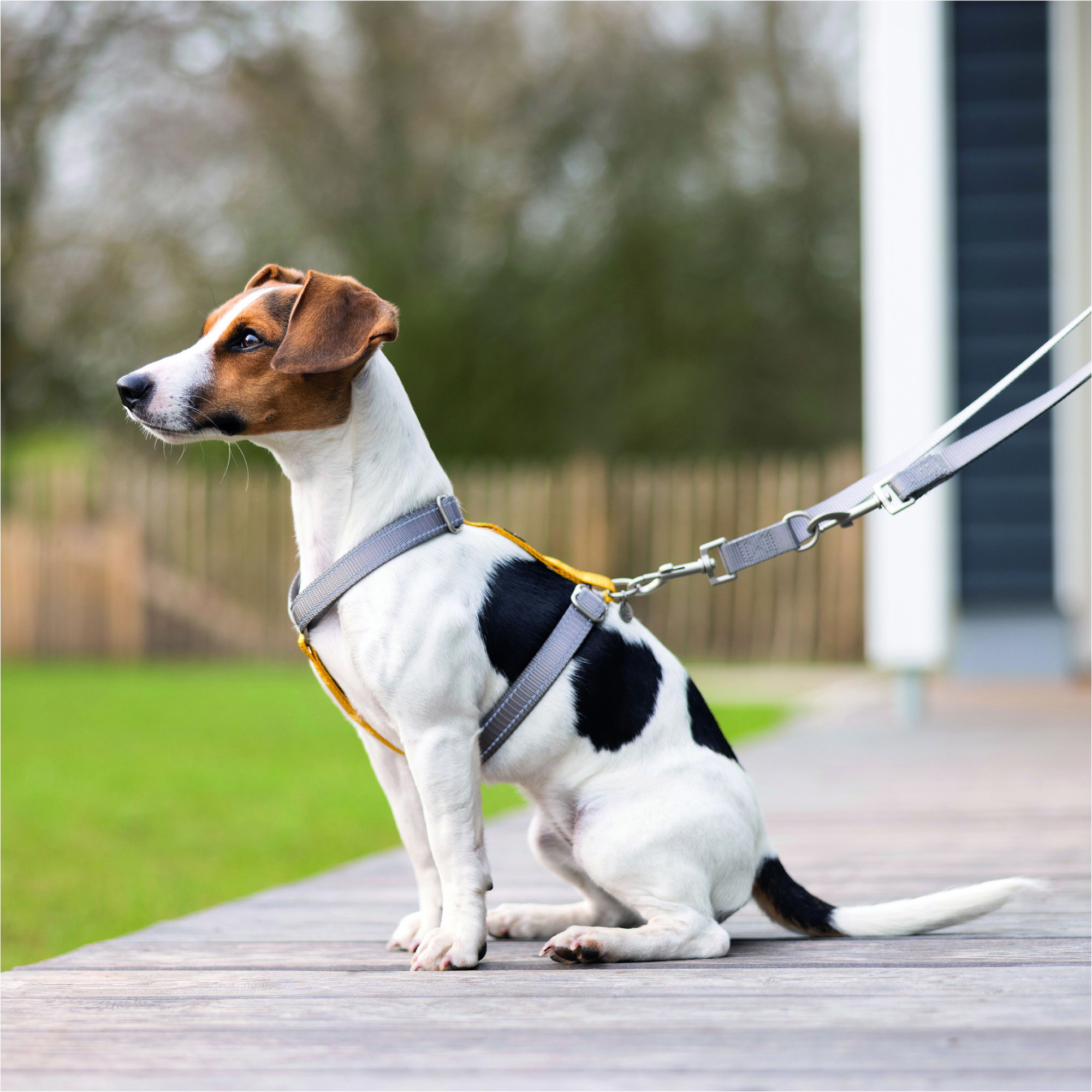 HKM Dog Training Leash 13729 - Taupe